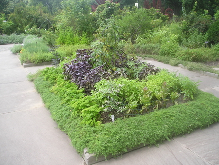 herb-gardening